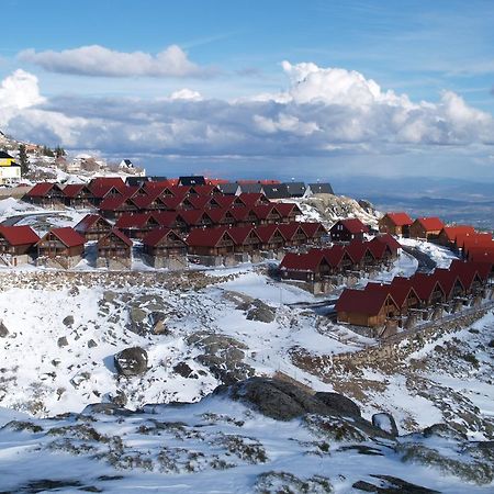 Luna Chalets Da Montanha - Serra Da Estrela Covilhã Esterno foto