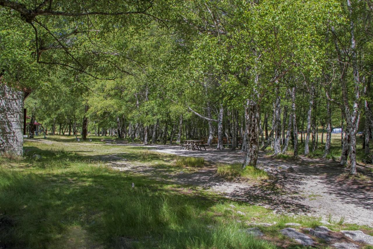 Luna Chalets Da Montanha - Serra Da Estrela Covilhã Esterno foto
